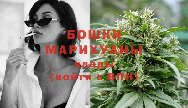 шишки Киров