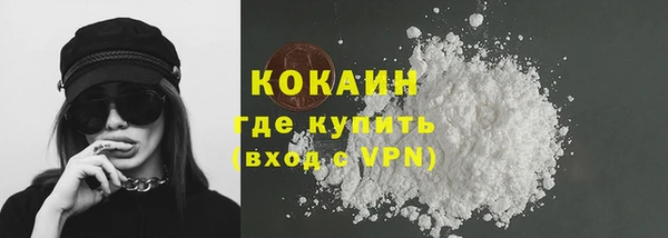 шишки Киров