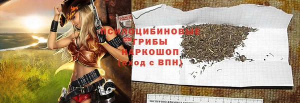 шишки Киров