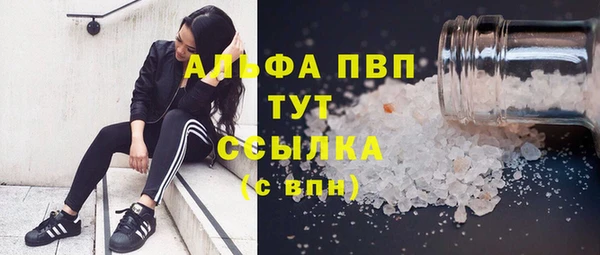 шишки Киров