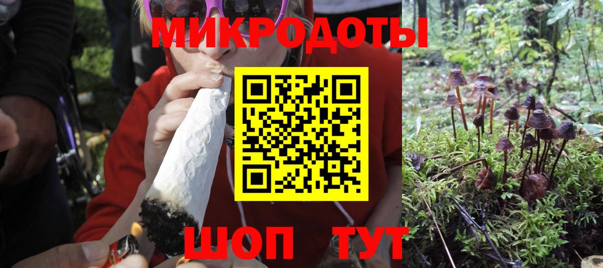 Псилоцибиновые грибы Psilocybe Дзержинск