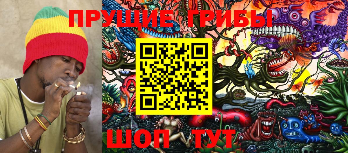 Псилоцибиновые грибы GOLDEN TEACHER  Псилоцибиновые грибы ЛСД  Дзержинск 