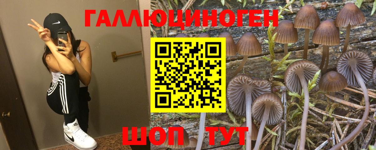 Галлюциногенные грибы MAGIC MUSHROOMS  Вход с VPN  наркошоп  Дзержинск 