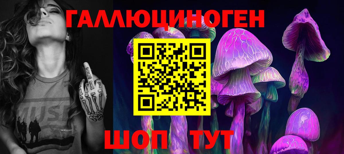 Галлюциногенные грибы Psilocybe Дзержинск